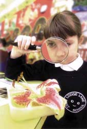 Science Week 2000 picture courtesy of Evening News